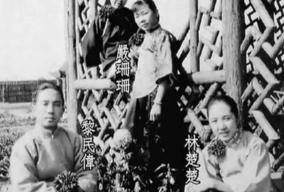 黎姿的珠光宝气，黎宣的绿叶人生：传奇电影世家的香江旧梦（组图） - 17