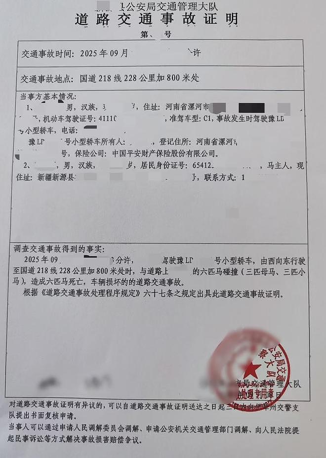 游客自驾撞到马群致6匹马死亡：只有交强险没商业险，司机自费修车赔马压力大，将走法律程序（组图） - 3