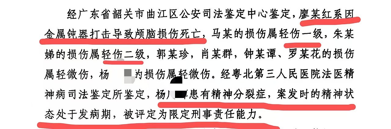 “想通过杀人被判刑”，26岁患精神分裂男子持铁锤砸路人致1死6伤（组图） - 3