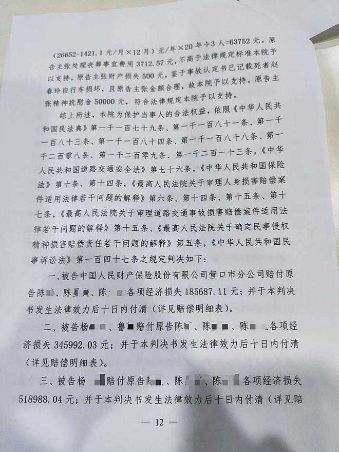 14岁男孩无证驾驶他人车辆撞死60岁女子，车主被判刑、担60%责任，监护人：经济困难，无法支付赔偿款（组图） - 3