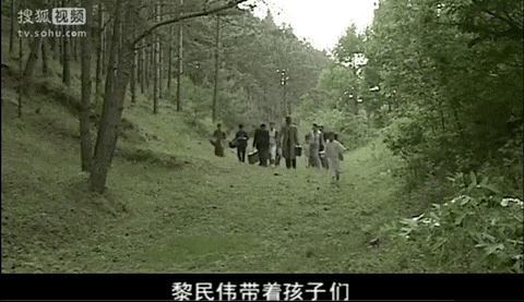 黎姿的珠光宝气，黎宣的绿叶人生：传奇电影世家的香江旧梦（组图） - 30