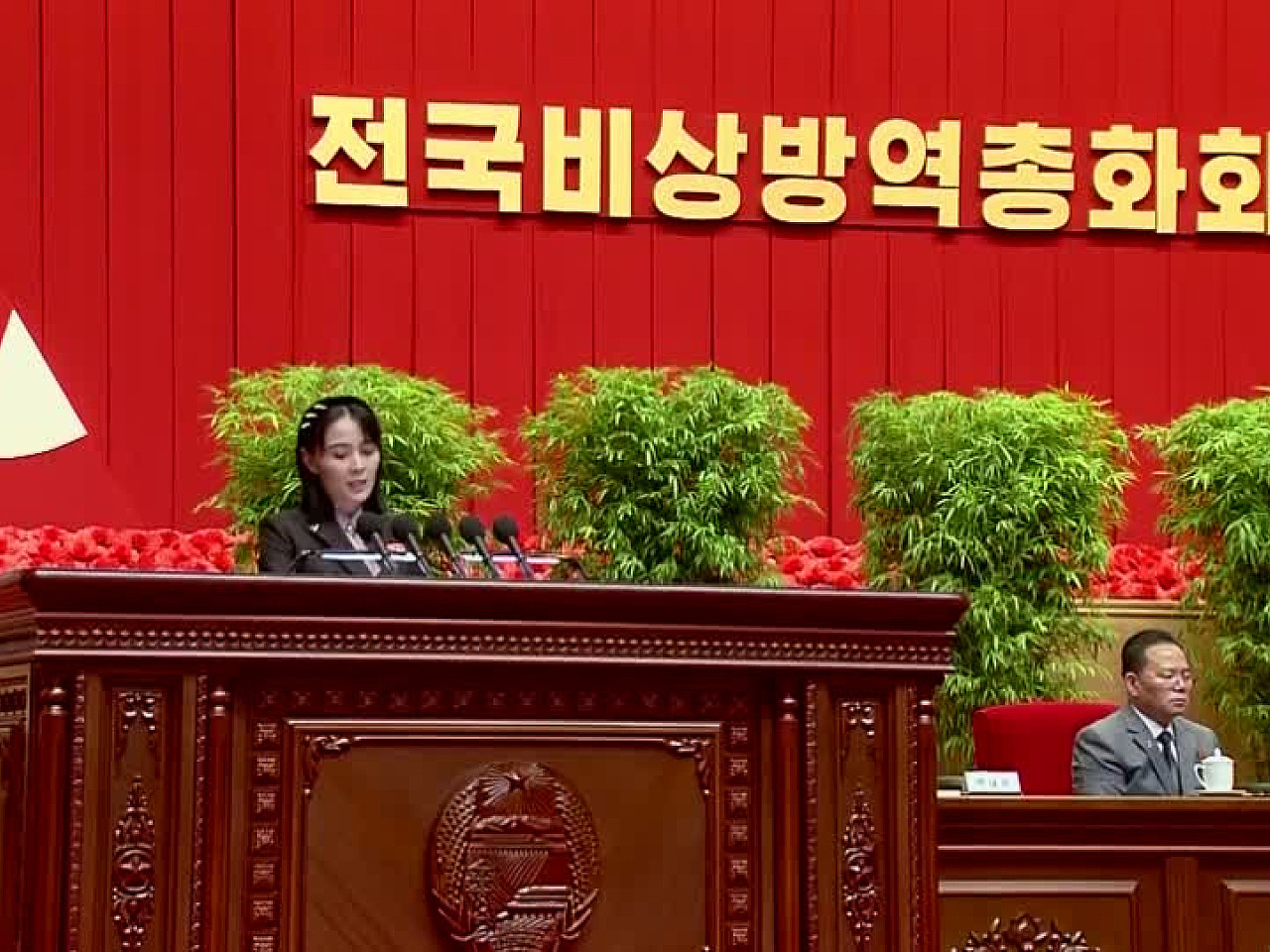 金与正:美日韩在朝鲜周边大秀肌肉选错了地方(图) - 1