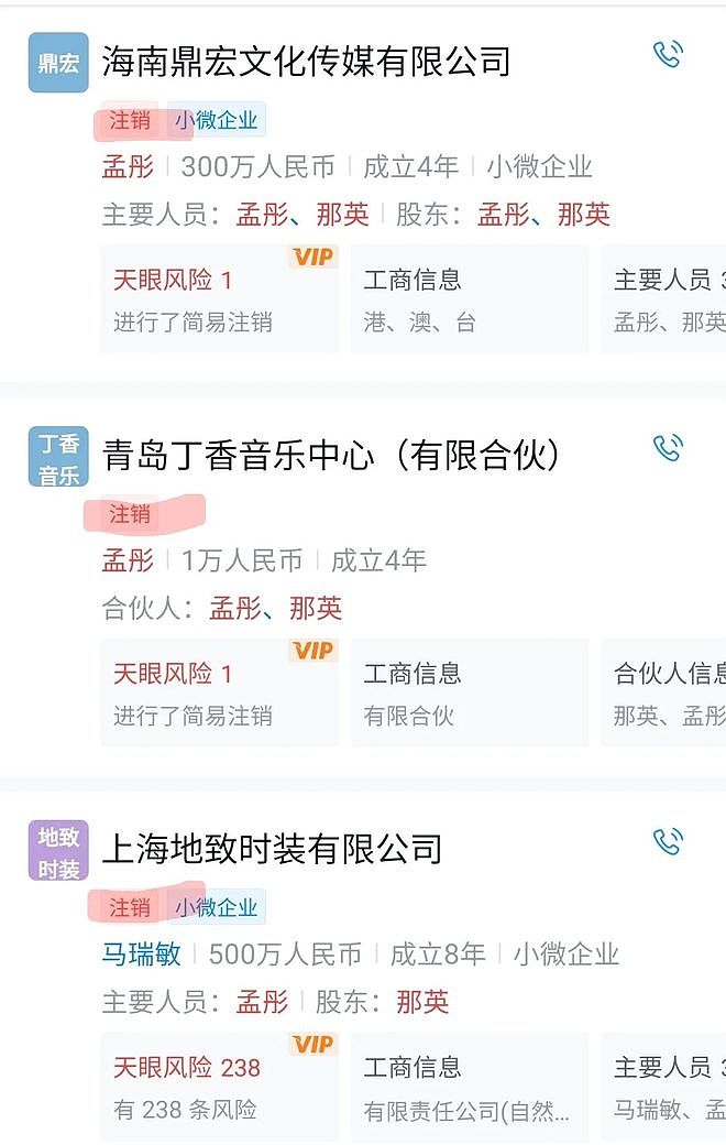彪悍那英，大女人与旧妻子（组图） - 11