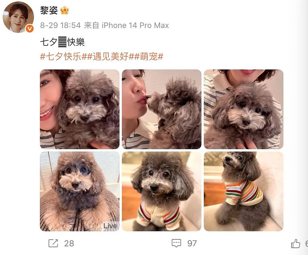 黎姿的珠光宝气，黎宣的绿叶人生：传奇电影世家的香江旧梦（组图） - 6