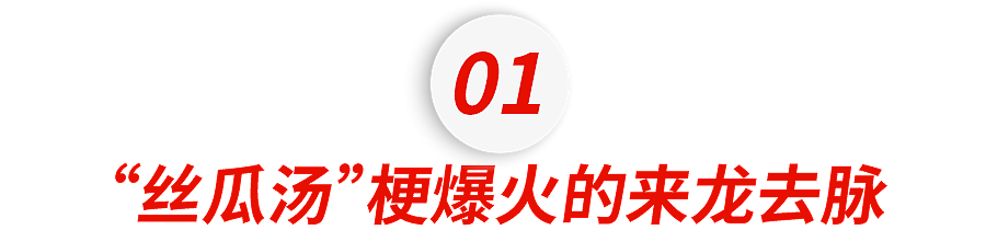 今年最令人窒息的“丝瓜汤”梗,暴露了中式家庭最隐秘的痛(组图) - 2