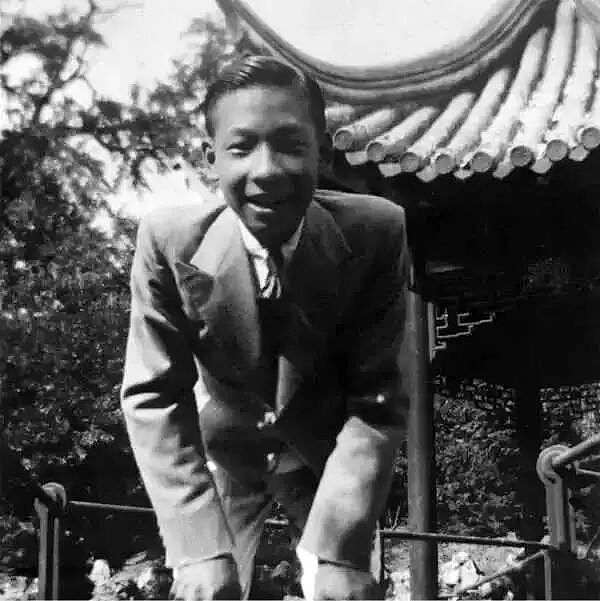 中国唯一富过17代的家族，坐拥上海近1000栋房屋，子孙大都上哈佛（组图） - 11