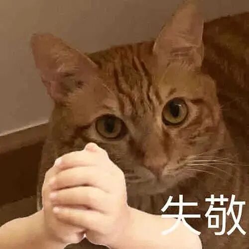 彻底不演了!雷军:全面对标iPhone,小米 17 Pro Max即将上线(组图) - 7