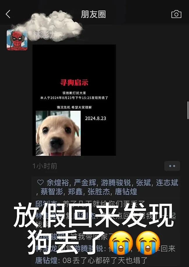 【宠物】小主人问狗子喜不喜欢自己,狗子的表情已经说明了一切;网友:已经到了人和狗都嫌弃的年纪(组图) - 10