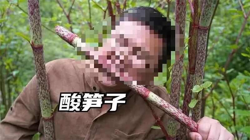一种日本植物入侵美国本土后，当地房价暴跌，然而它在中国却是一道美味（组图） - 11