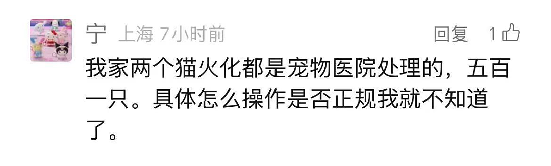 焚化炉送上门！ 这种需求， 在上海激增！ 遗体告别、骨灰寄存…知情人爆料，网友炸了（组图） - 14