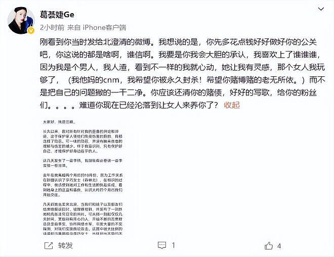 葛荟婕喊话希望汪峰被永久封杀,曝其赌博欠赌债,章子怡无辜躺枪(组图) - 3