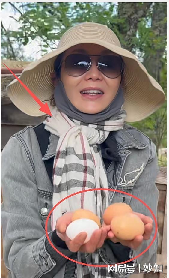 60岁张曼玉定居法国：瘦成皮包骨，戴LV丝巾钻鸡窝，网友称不理解（组图） - 18