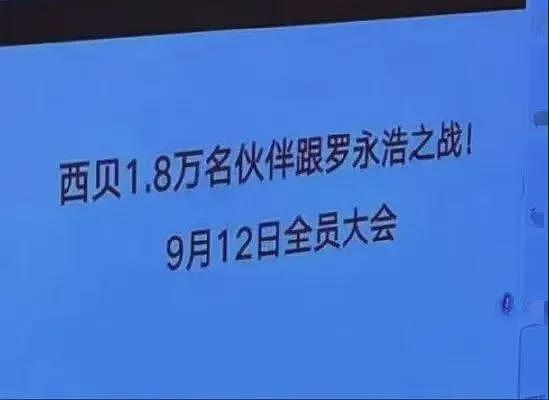 西贝最该捂住的,就是贾国龙的嘴(组图) - 5