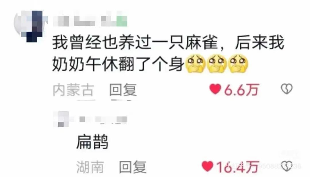 【爆笑】“巴黎世家8200新包撞脸塑料袋…？”啊啊啊果然奢侈品不坑穷人（组图） - 69