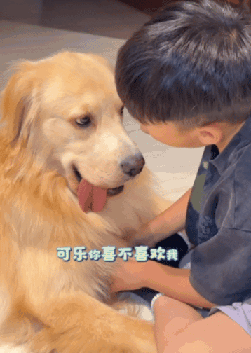 【宠物】小主人问狗子喜不喜欢自己,狗子的表情已经说明了一切;网友:已经到了人和狗都嫌弃的年纪(组图) - 6