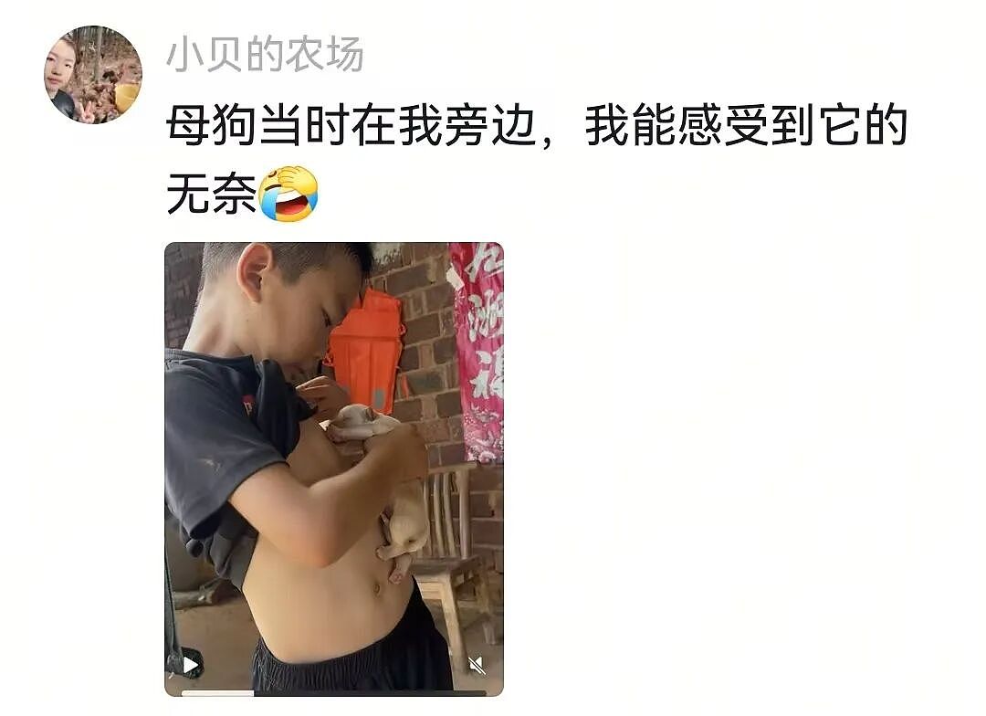 【宠物】小主人问狗子喜不喜欢自己,狗子的表情已经说明了一切;网友:已经到了人和狗都嫌弃的年纪(组图) - 2