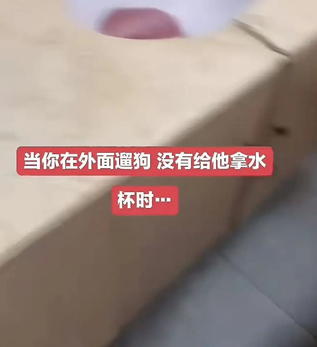 【爆笑】“巴黎世家8200新包撞脸塑料袋…？”啊啊啊果然奢侈品不坑穷人（组图） - 52