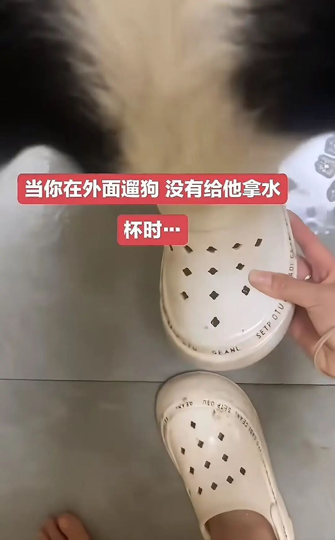 【爆笑】“巴黎世家8200新包撞脸塑料袋…？”啊啊啊果然奢侈品不坑穷人（组图） - 53
