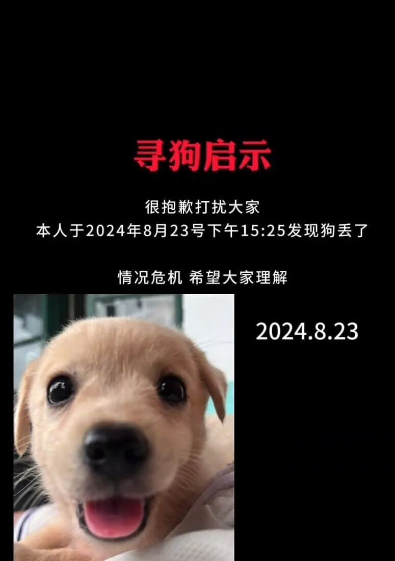 【宠物】小主人问狗子喜不喜欢自己,狗子的表情已经说明了一切;网友:已经到了人和狗都嫌弃的年纪(组图) - 11