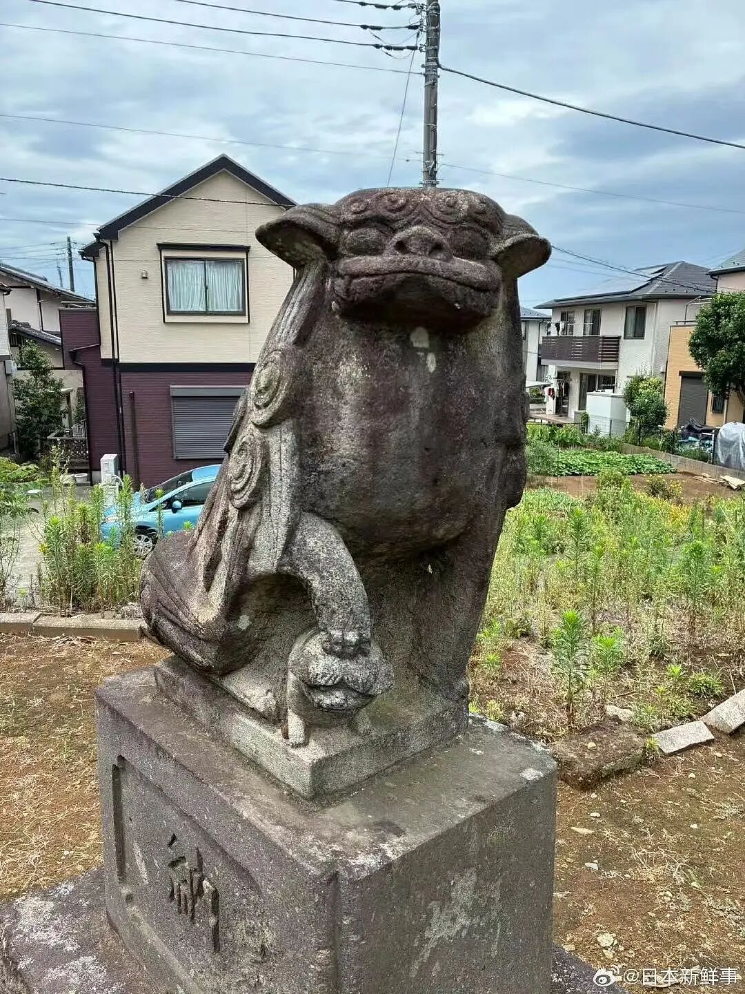 【爆笑】“crush仅用一句话让我对他下头…?”哈哈哈哈像一个绝望的文盲(组图) - 19