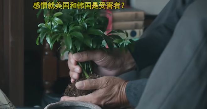 全智贤新剧口碑崩了!对中国充满恶意,取景专门拍脏乱差抹黑大连(组图) - 11
