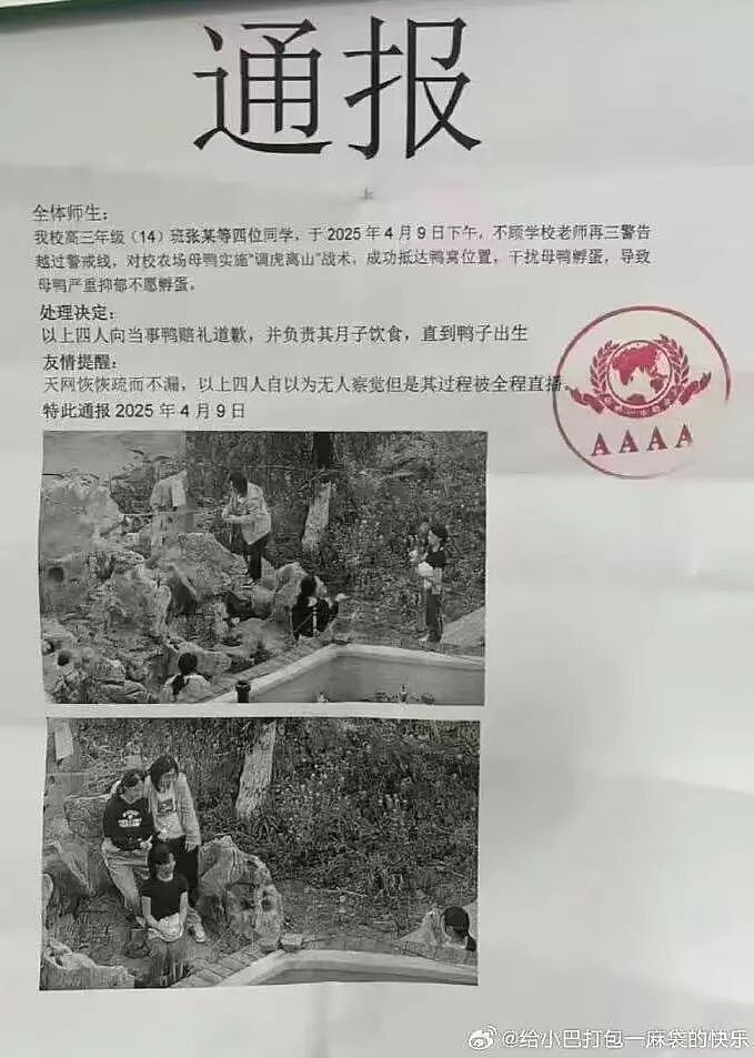 【爆笑】“巴黎世家8200新包撞脸塑料袋…？”啊啊啊果然奢侈品不坑穷人（组图） - 64