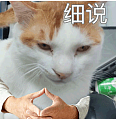 香港前特首梁振英自曝网购被骗经历，喊话内地：淘宝发财要立品，不能损全体中国商人声誉（组图） - 2