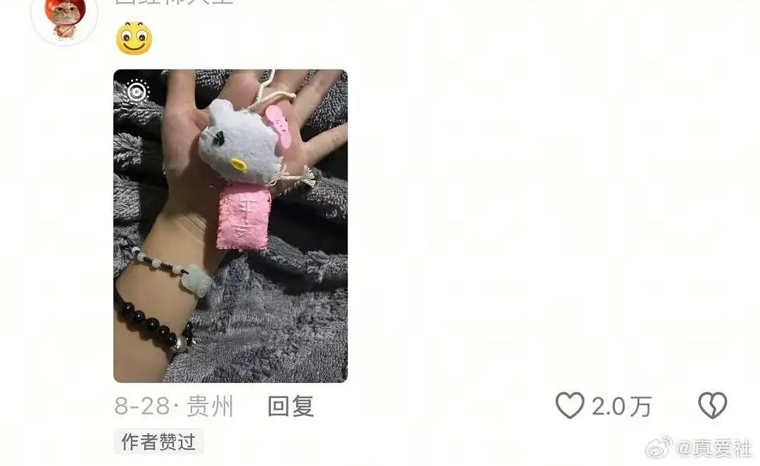 【爆笑】当女朋友心血来潮送我手工缝制的苦茶…？哈哈哈手工届出了个天才（组图） - 16