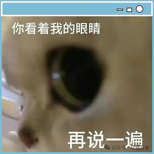 【爆笑】当女朋友心血来潮送我手工缝制的苦茶…？哈哈哈手工届出了个天才（组图） - 2