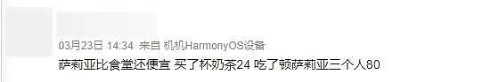 “预制菜之王”萨莉亚，怎么就没人骂（组图） - 17