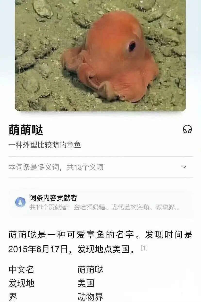 【爆笑】当女朋友心血来潮送我手工缝制的苦茶…？哈哈哈手工届出了个天才（组图） - 41