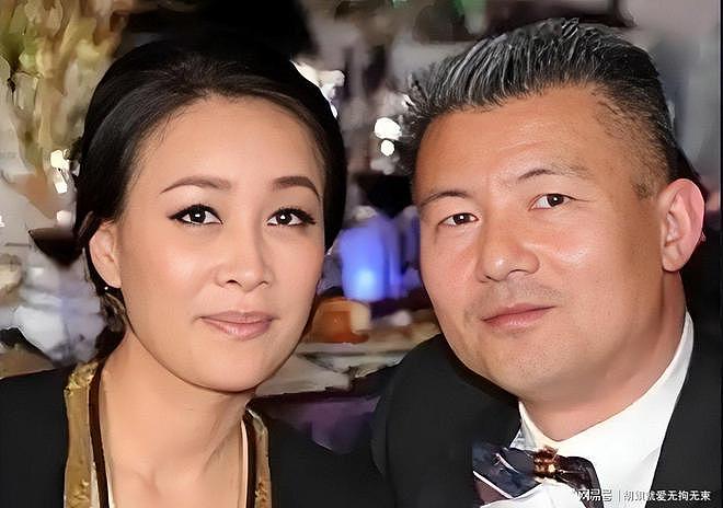 太争气了!那英曾说刀郎的歌没审美,现在刀郎演唱会办的风生水起(组图) - 15