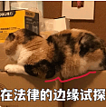 香港前特首梁振英自曝网购被骗经历，喊话内地：淘宝发财要立品，不能损全体中国商人声誉（组图） - 17