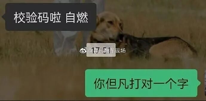 【爆笑】当女朋友心血来潮送我手工缝制的苦茶…？哈哈哈手工届出了个天才（组图） - 53