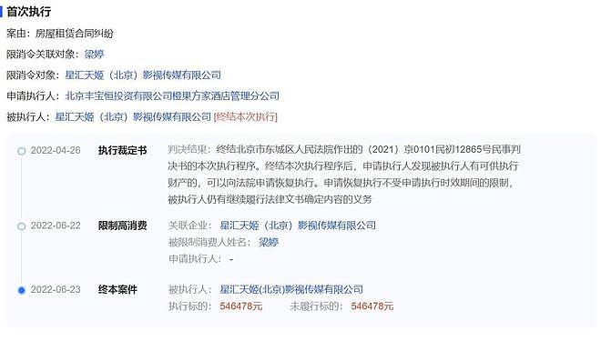 辛芷蕾与梁婷和解背后真相：6000万欠款引发争议，究竟谁在说谎？（组图） - 11