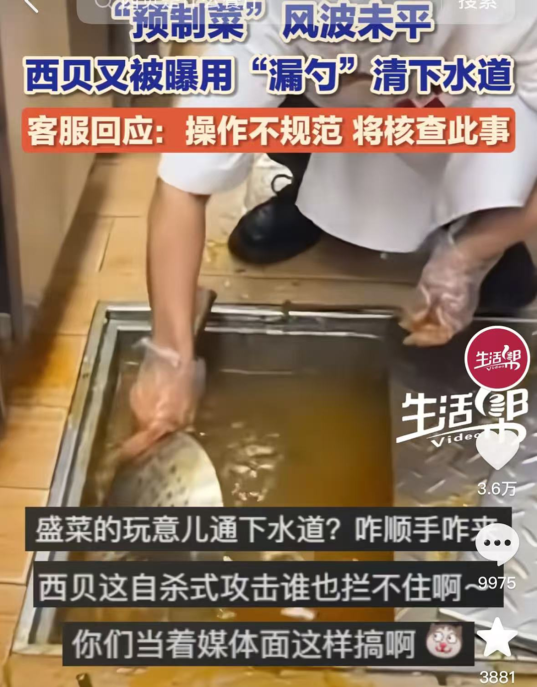 刚刚西贝道歉！罗永浩赢了，我头皮麻了…（组图） - 14