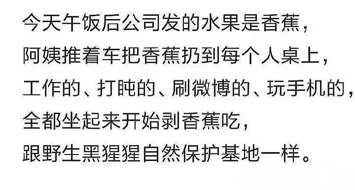 【爆笑】当女朋友心血来潮送我手工缝制的苦茶…？哈哈哈手工届出了个天才（组图） - 32