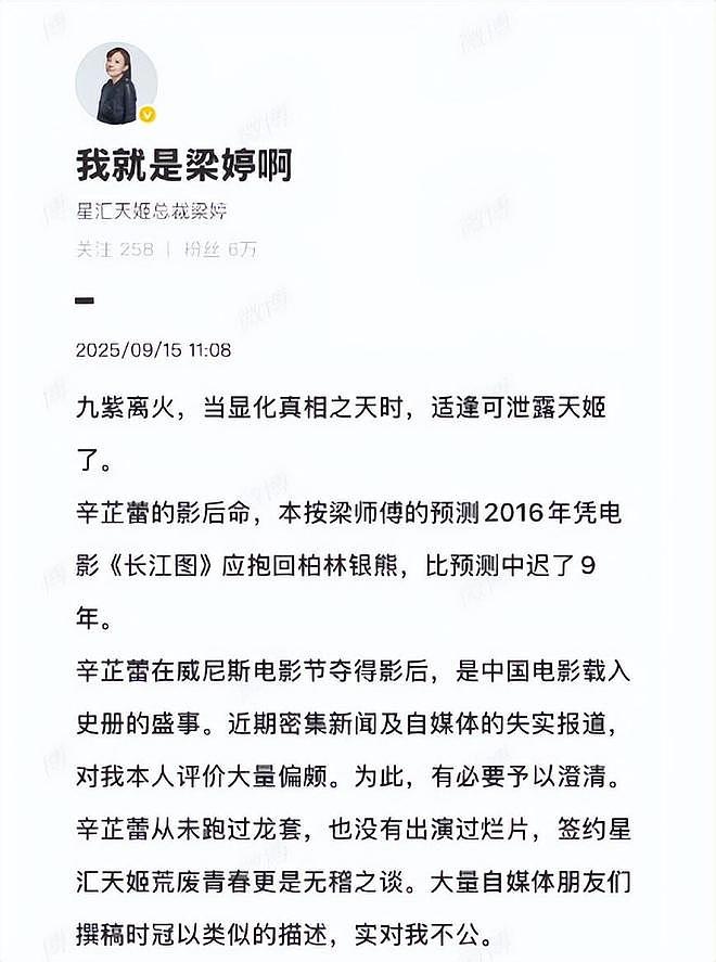 辛芷蕾与梁婷和解背后真相：6000万欠款引发争议，究竟谁在说谎？（组图） - 3