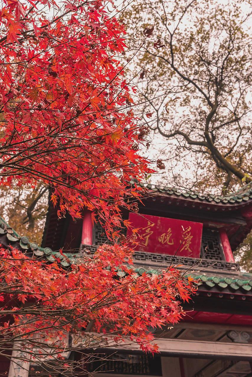 中国最快乐的城市，工资5000活出50000的快乐（组图） - 19