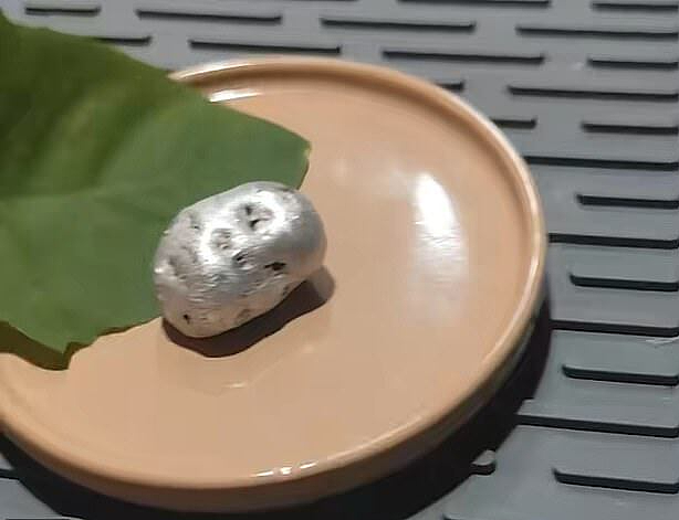 视频热爆!巴拿马男子在陨石内发现疑似外星生物,带触手生物迅速长大(视频/组图) - 5