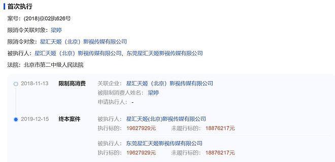 辛芷蕾与梁婷和解背后真相：6000万欠款引发争议，究竟谁在说谎？（组图） - 8