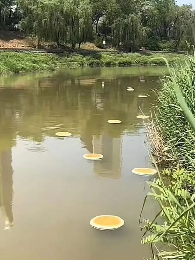【爆笑】当女朋友心血来潮送我手工缝制的苦茶…？哈哈哈手工届出了个天才（组图） - 40
