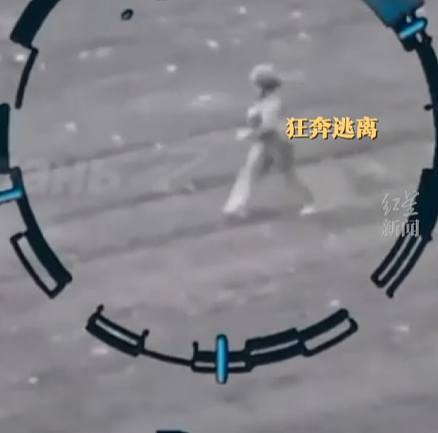 俄军无人机投弹炸倒乌军士兵，其头盔掉落露出长发，飞手发现是女兵后“放弃补刀”（组图） - 2