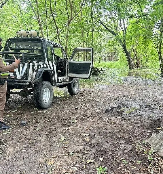 饲养员主动背对狮群，被咬了都一动不动？诡异一幕让人怀疑他故意自杀…（组图） - 4