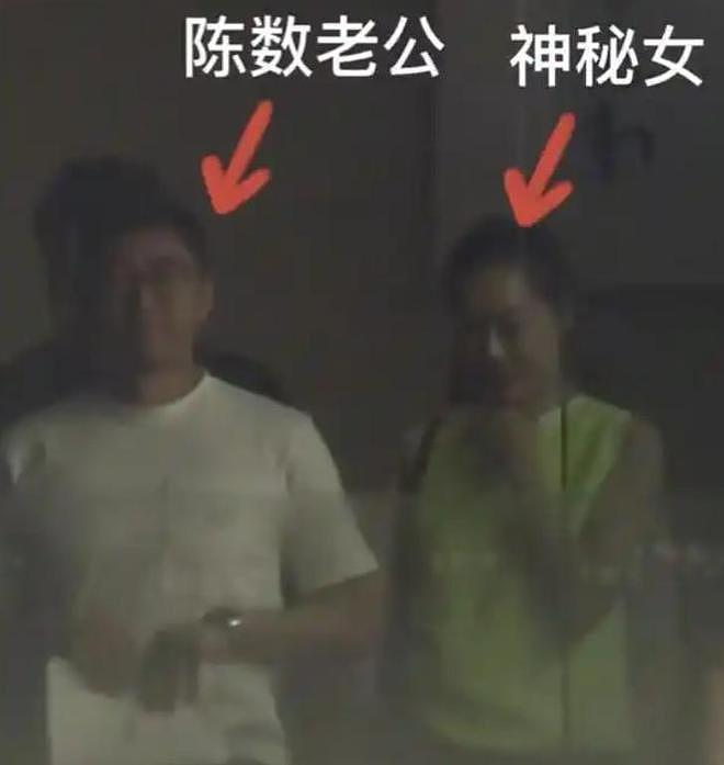 为继子放弃生娃，丈夫屡传绯闻：陈数的困局，给所有女人提个醒（组图） - 7