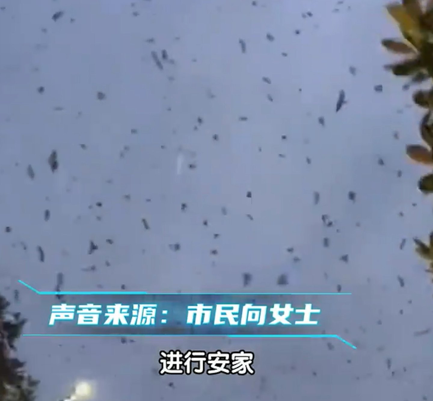 北京落大冰雹、天津满路青蛙、辽宁现诡异云！盘点近月内地“异象”（组图） - 9
