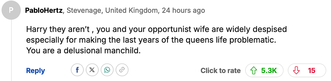 哈里时隔一年多再见查尔斯，表示自己“深受英国人喜欢“，英网友：这人有妄想症？（组图） - 25