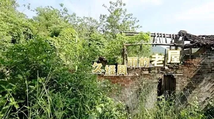 吴彦祖设计的“漂亮的房子”面临废弃?节目爆火后仅8年!网友:可惜了(组图) - 7