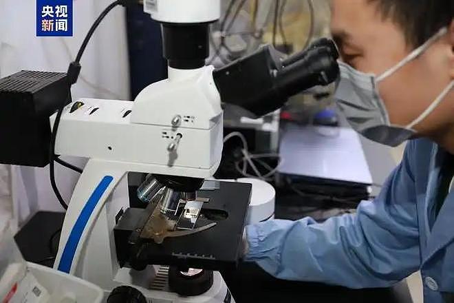 2万名科学家集体离美，美国成人才坟场？外媒破防：给中国做嫁衣（组图） - 13