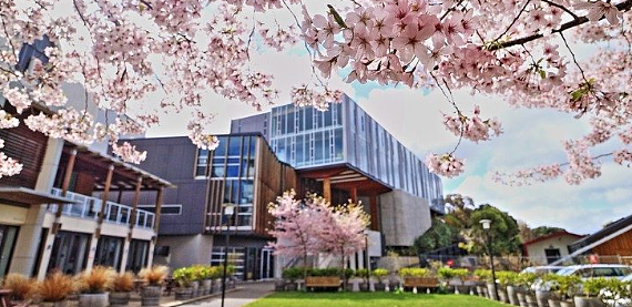 解锁新西兰移民与高薪就业的密码：一所能让你“硬核”留学的大学。（组图） - 2
